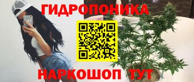 твердый Коммунар