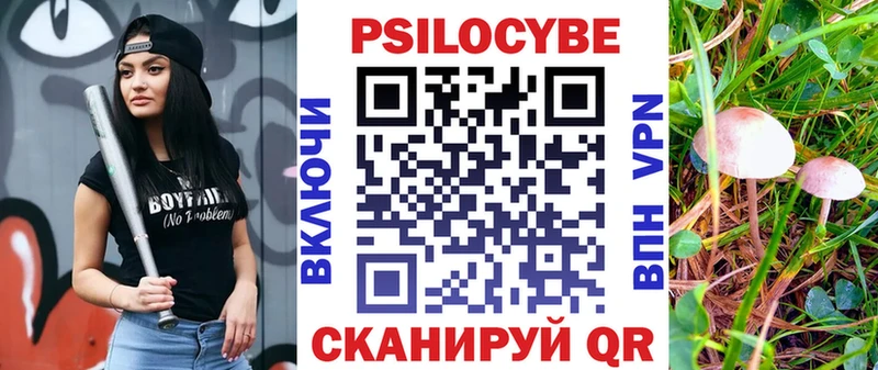 Псилоцибиновые грибы Psilocybe Сегежа