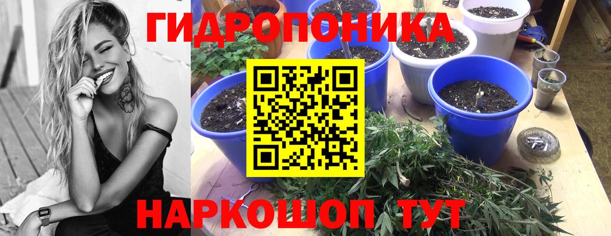 Каннабис ГИДРОПОН Сегежа